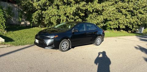Toyota Corolla 2019