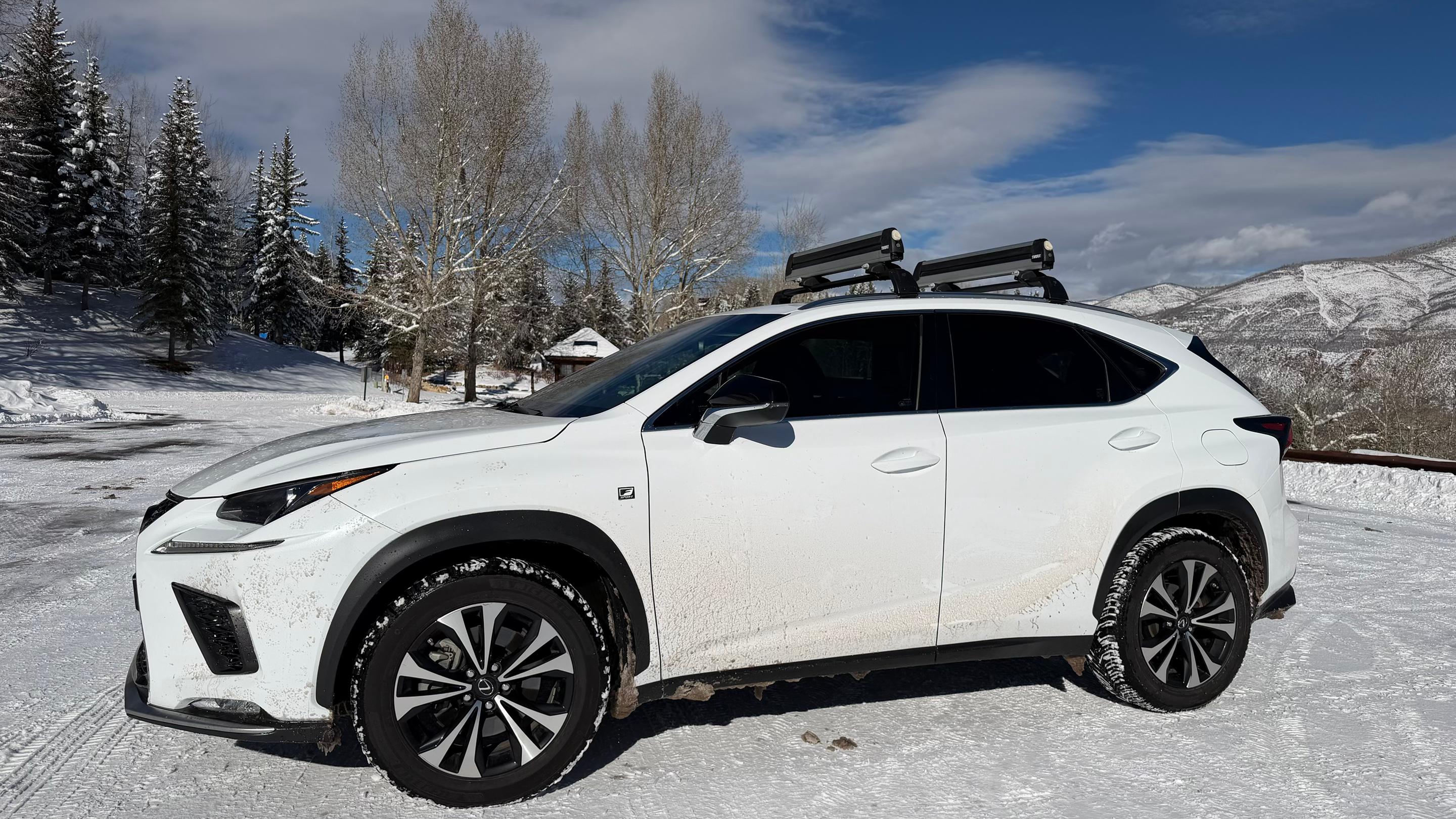Lexus NX 2019 in Aspen, CO