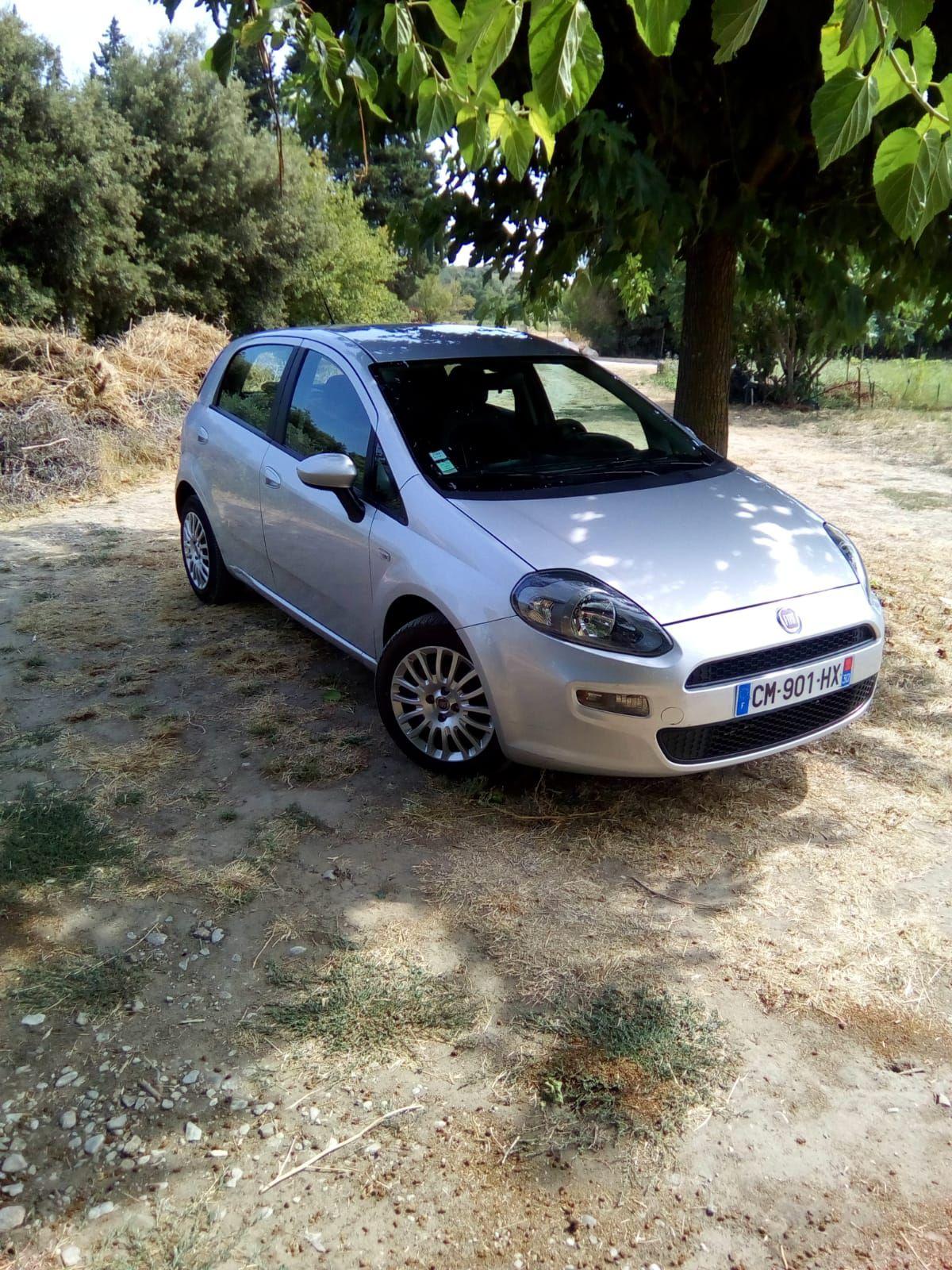FIAT PUNTO 2013 à Saint Paul Trois Châteaux