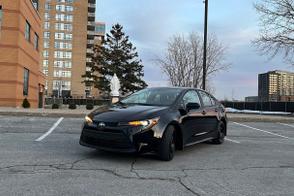 Toyota Corolla car