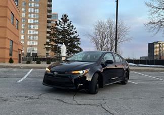 Toyota Corolla car