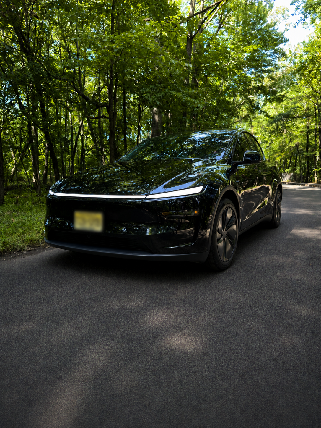 Tesla Model Y 2026 in Springfield, NJ