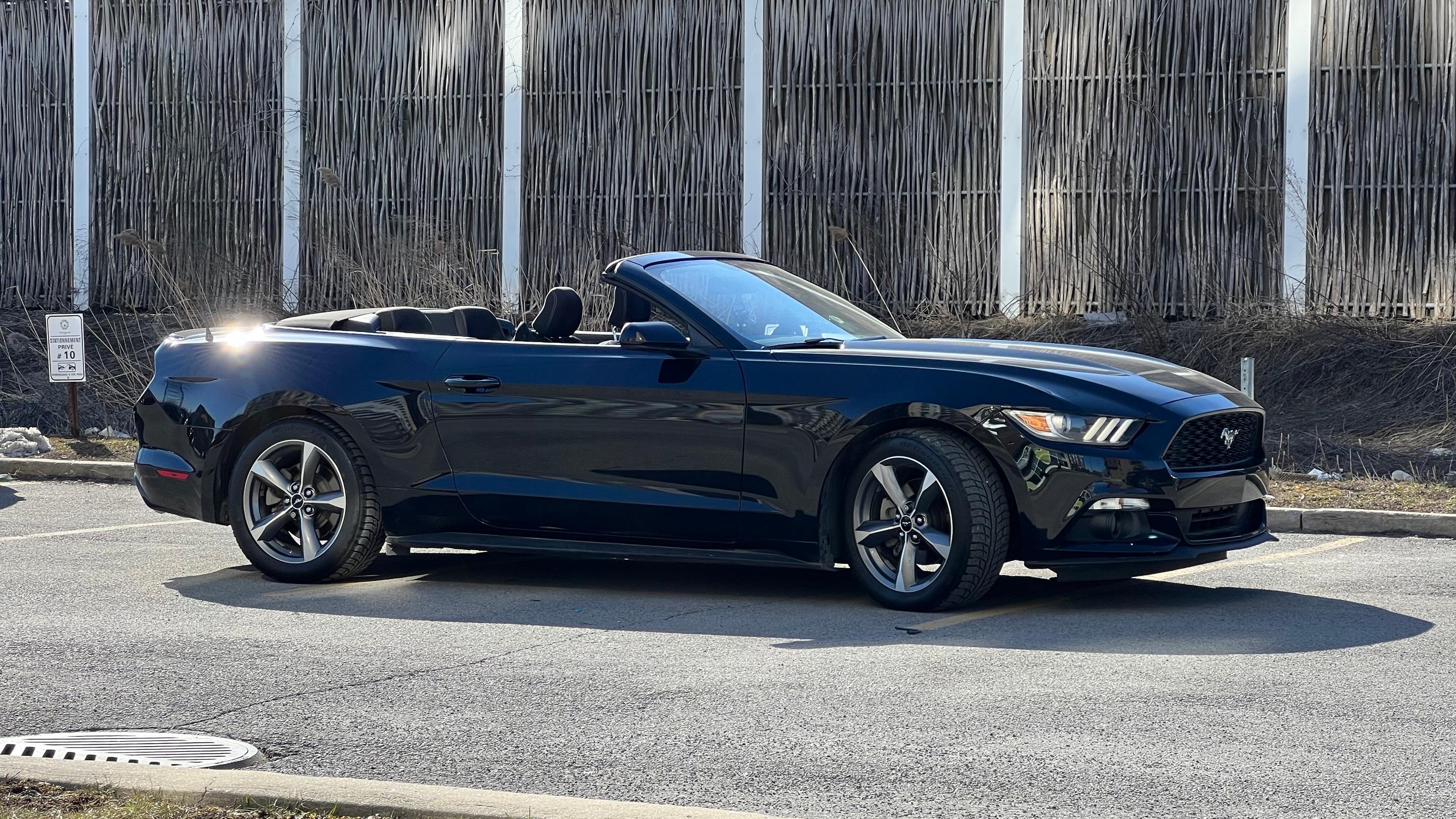 Ford Mustang 2015 in Longueuil, QC