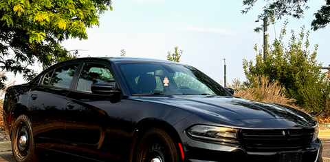 Dodge Charger 2016
