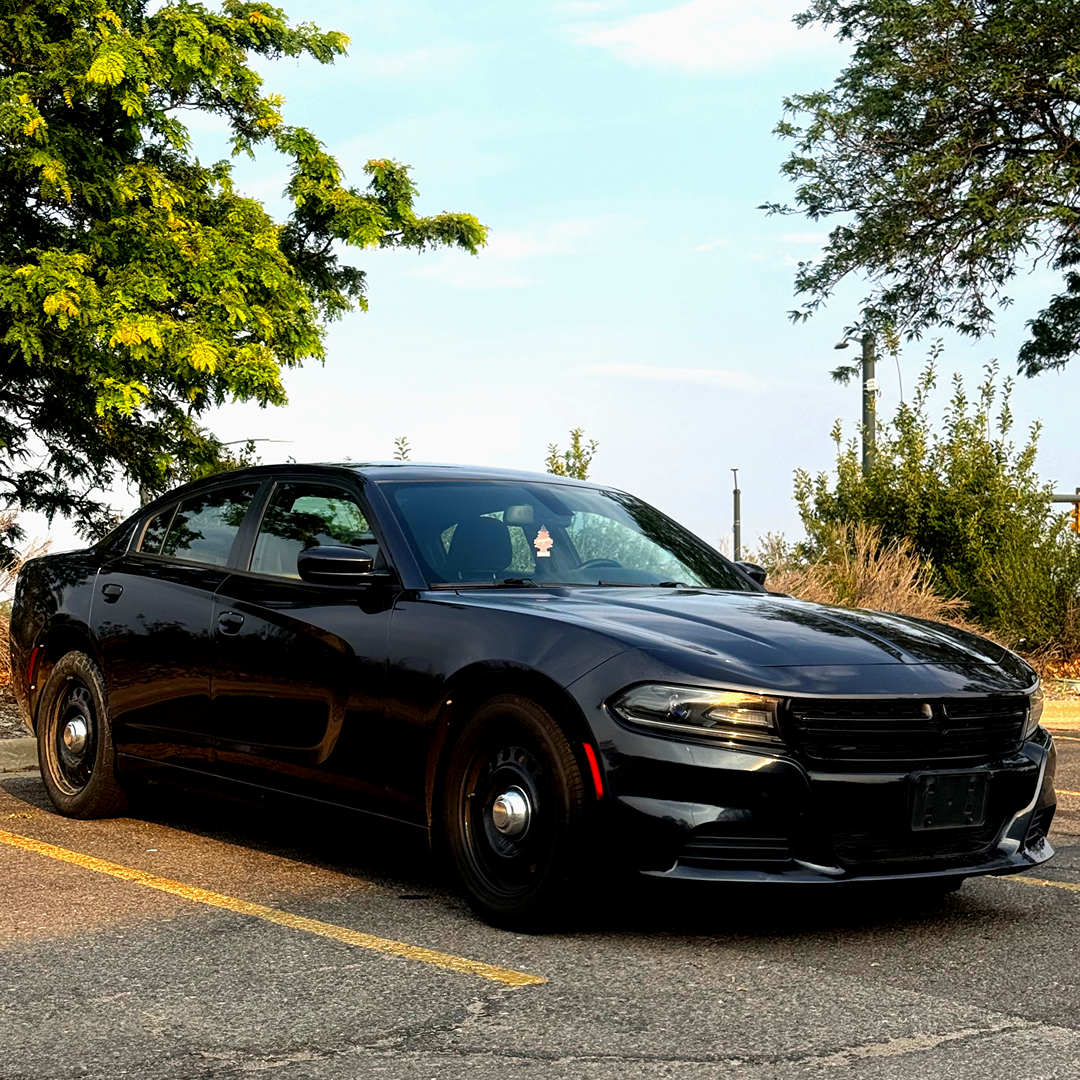 Dodge Charger 2016 in Denver, CO
