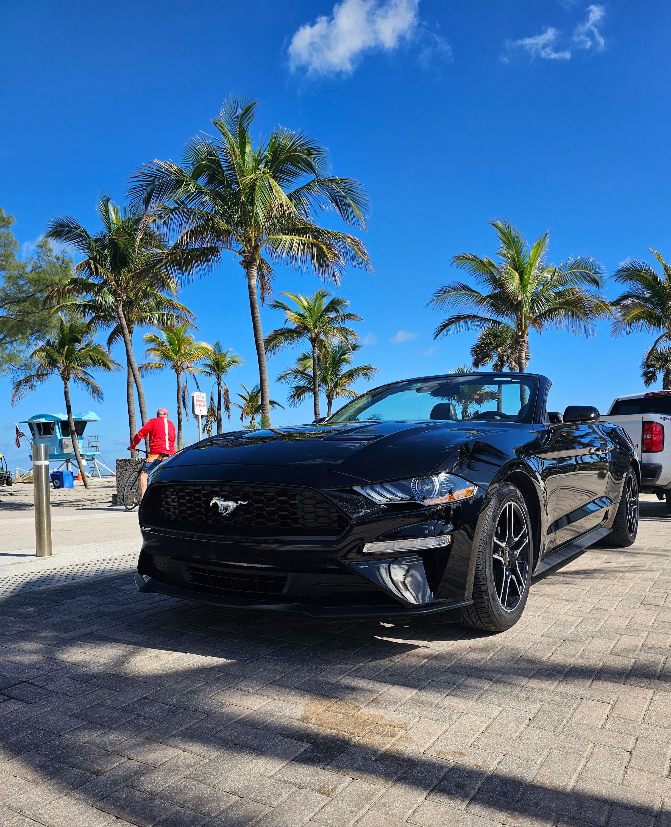 Ford Mustang 2022 in 