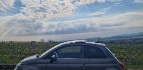 FIAT 500 2019