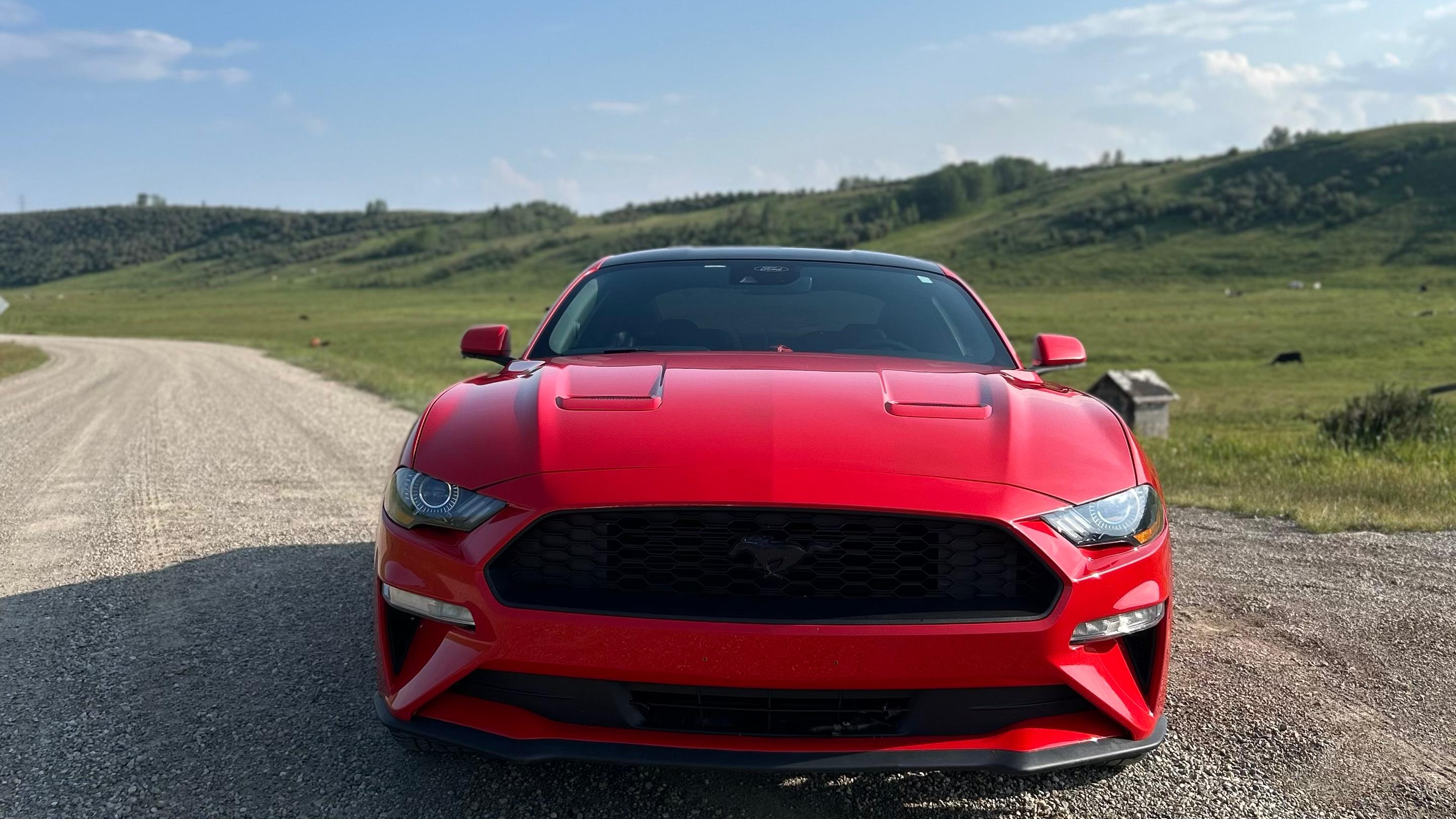 Ford Mustang 2022 à Edmonton, AB