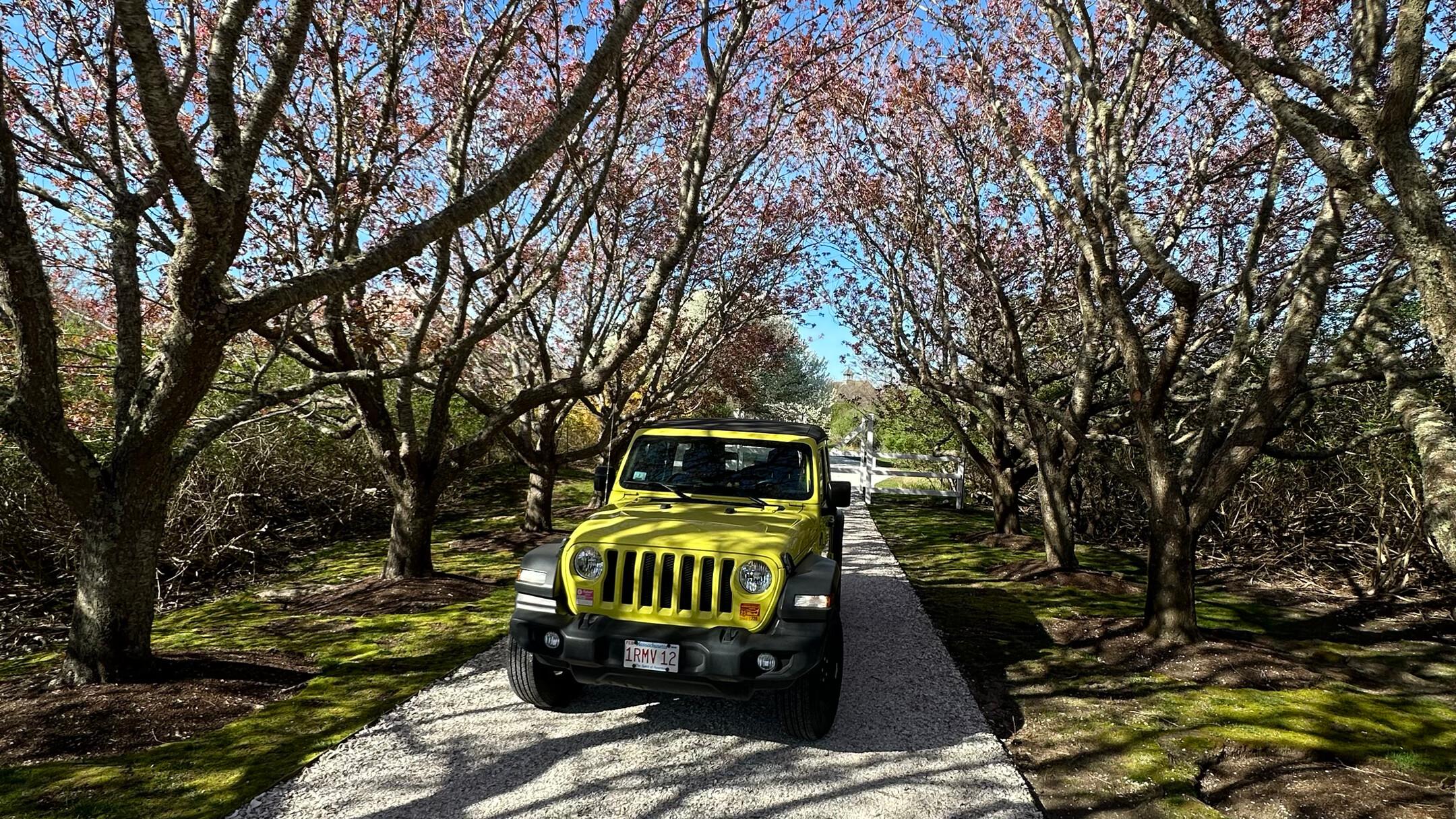 Jeep Wrangler 2023 in 