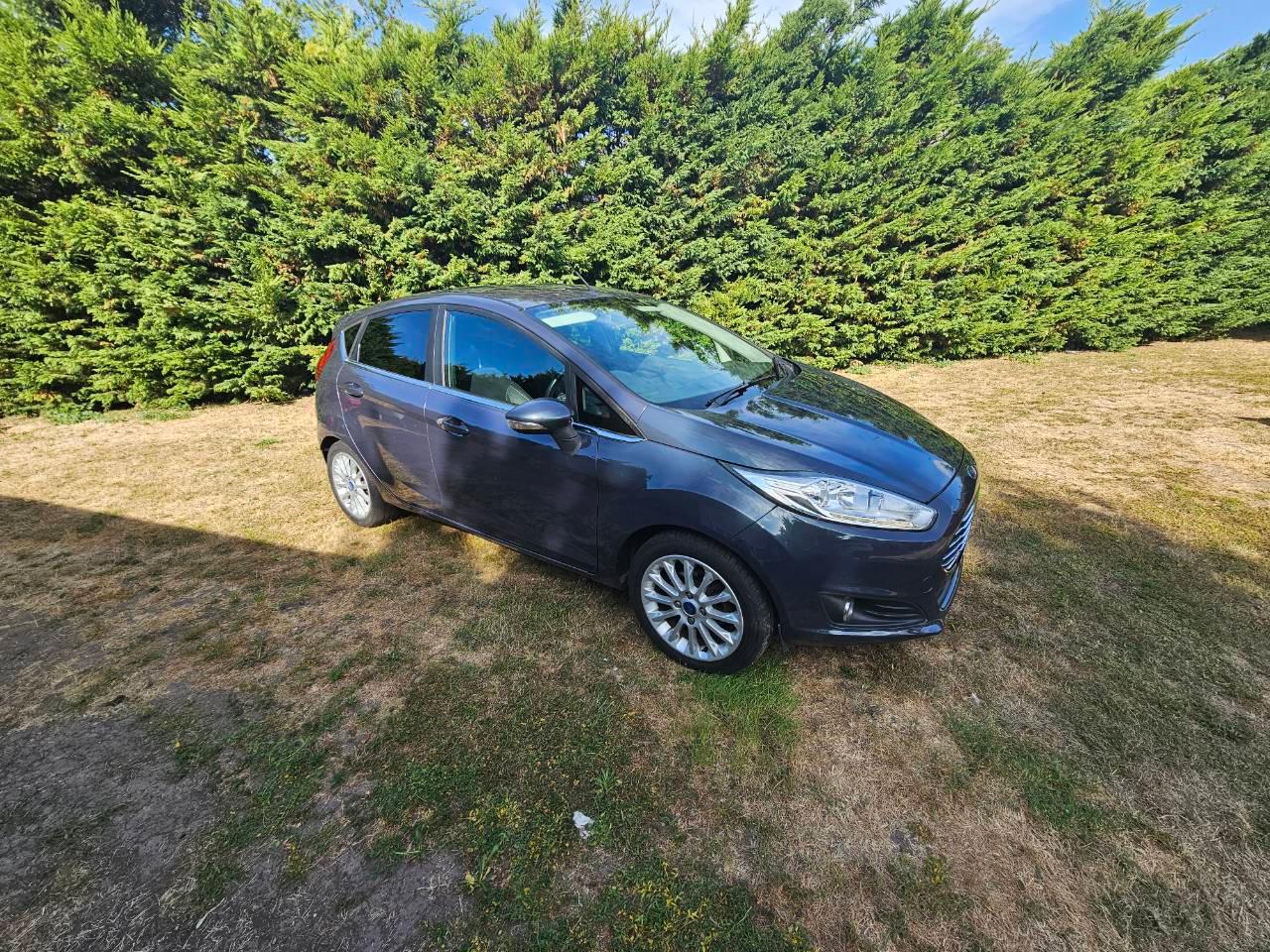 Ford Fiesta 2014 in Swanley