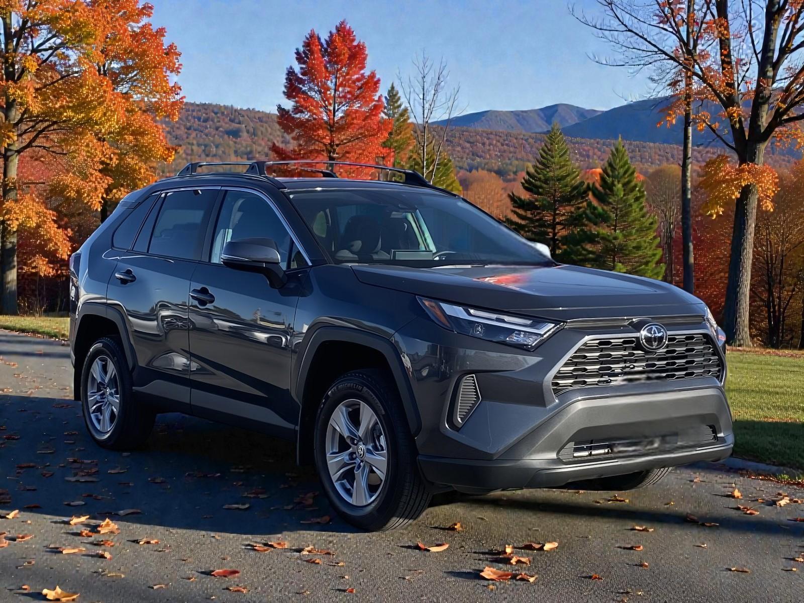Toyota RAV4 2025 in 