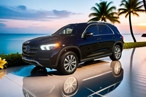 Catégorie de véhicule : Mercedes-Benz GLE