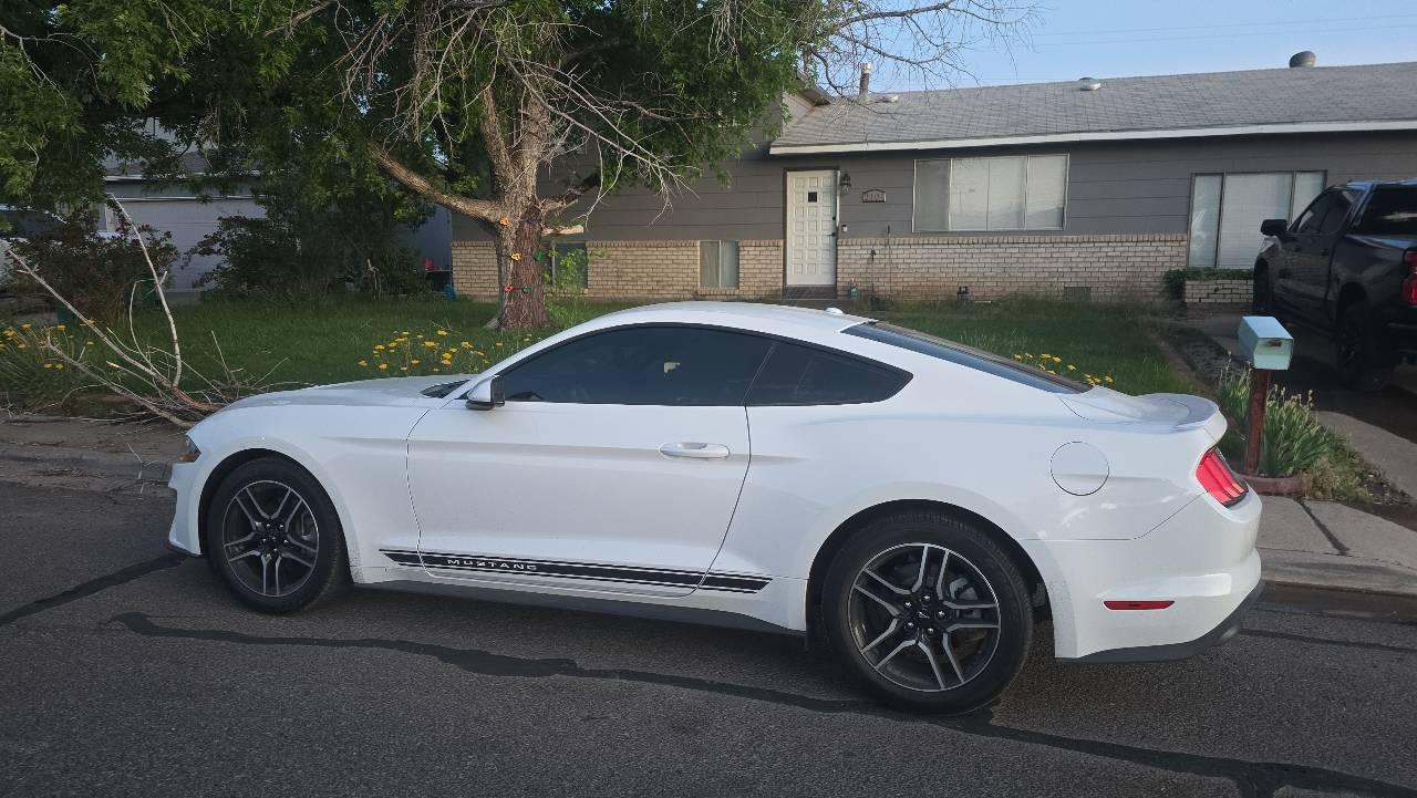 Ford Mustang 2019 in Farmington, NM