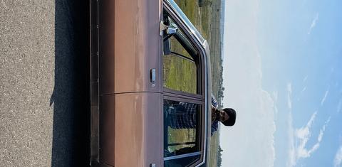 Dodge Diplomat 1987