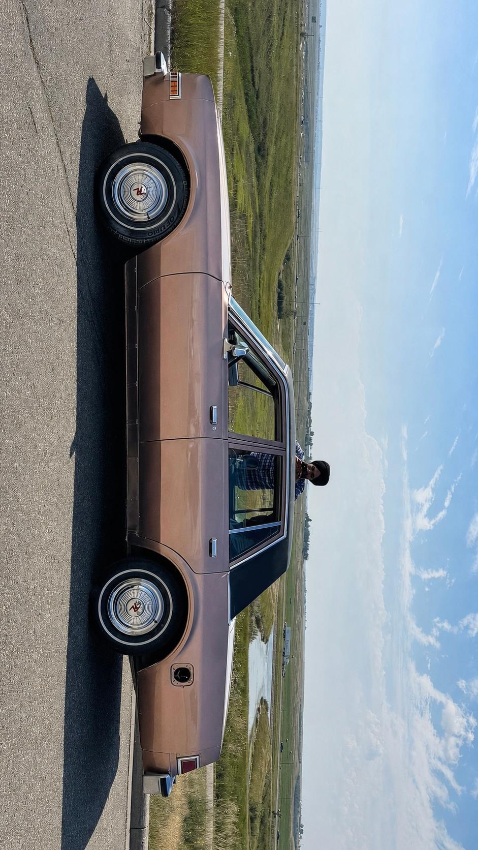 Dodge Diplomat 1987 in Calgary, AB