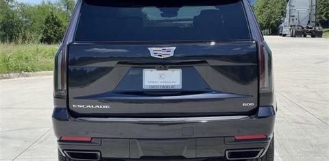 Cadillac Escalade ESV 2025 rental in Pensacola, FL by Ming Z. | Turo