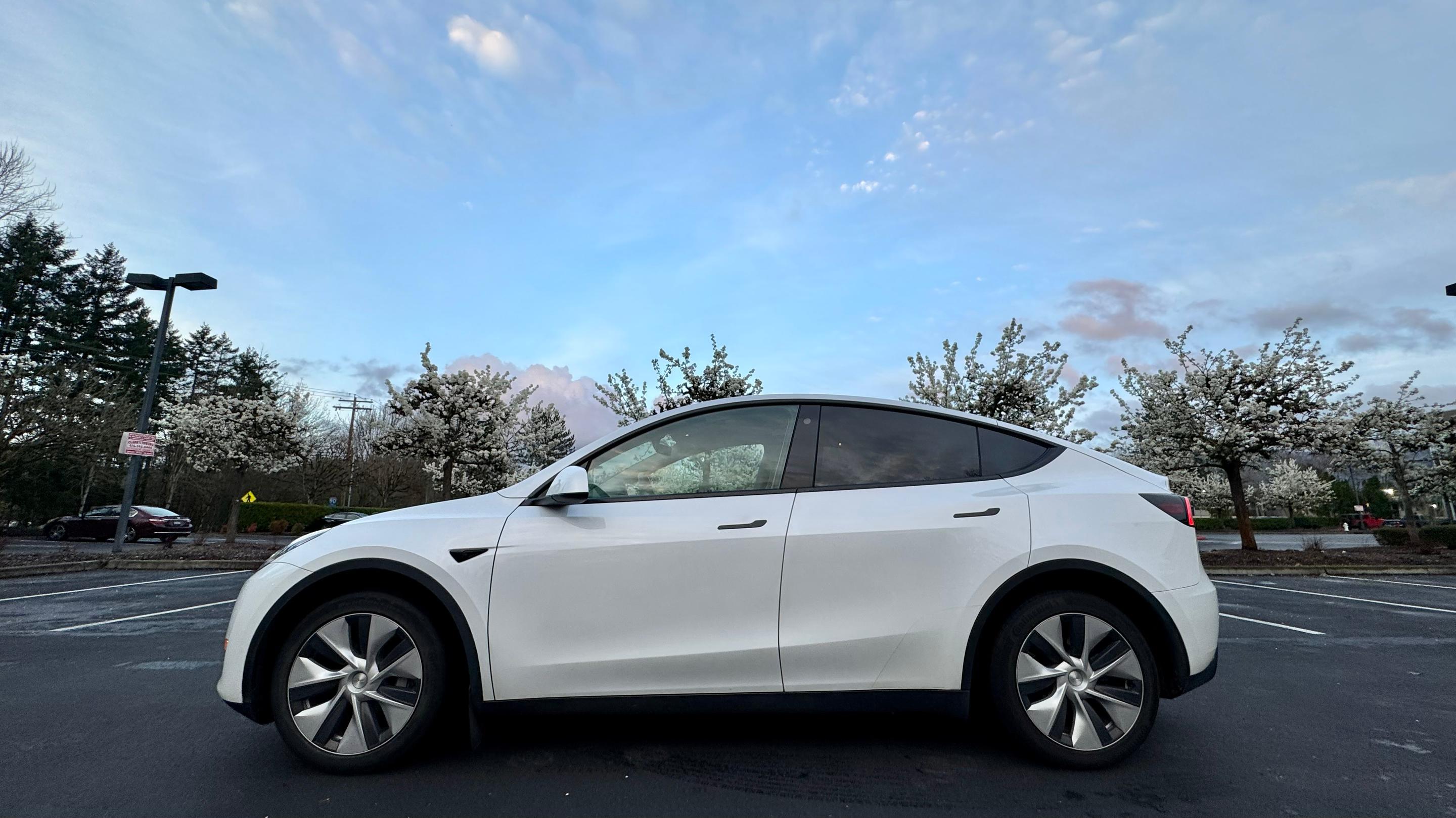 Tesla Model Y 2023 in Bellevue, WA