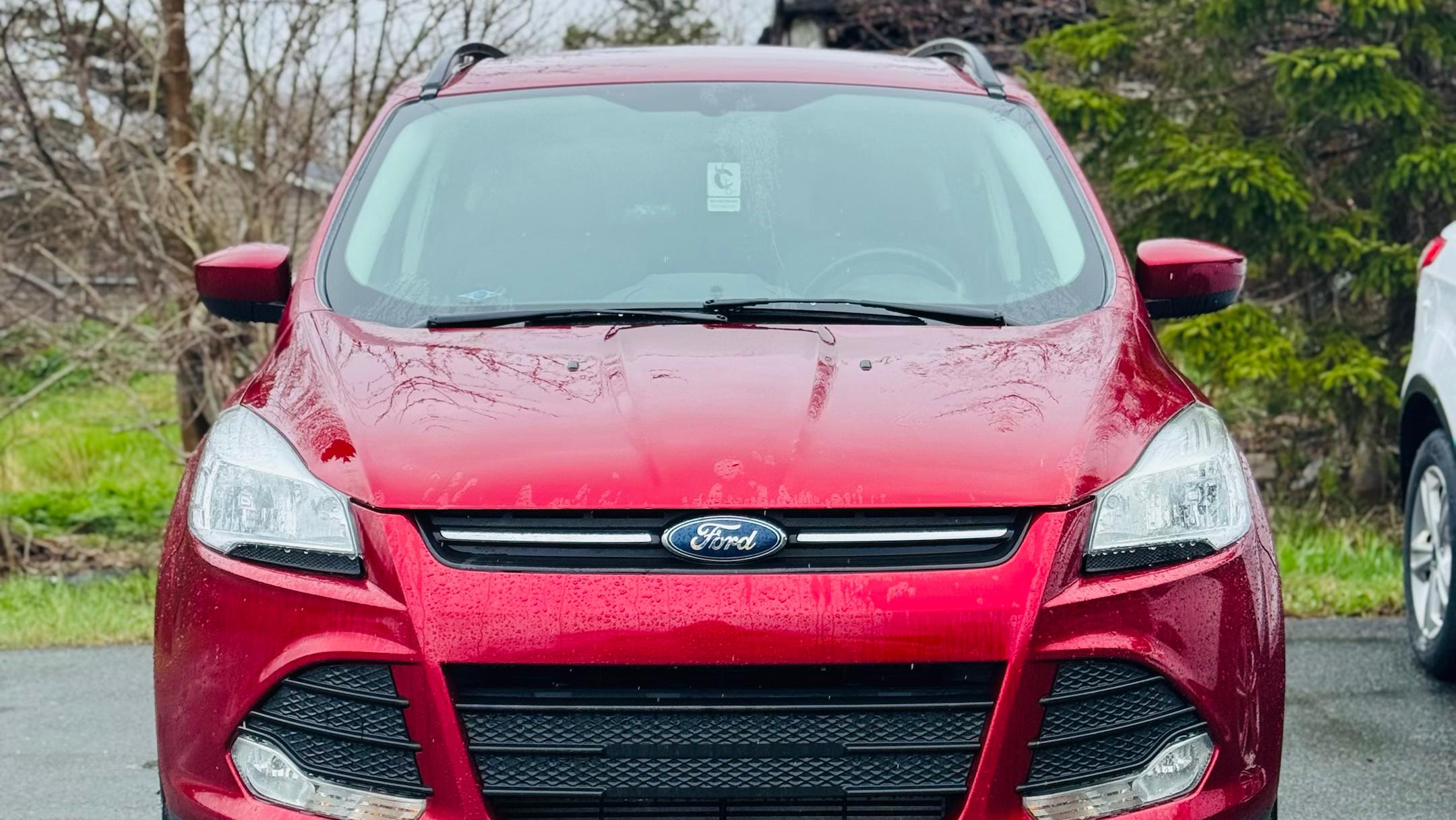 Ford Escape 2014 à St. John's, NL