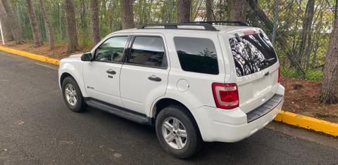 Ford Escape Hybrid 2010