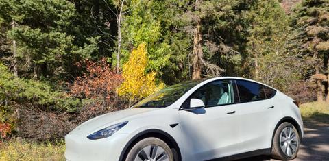 Tesla Model Y 2020