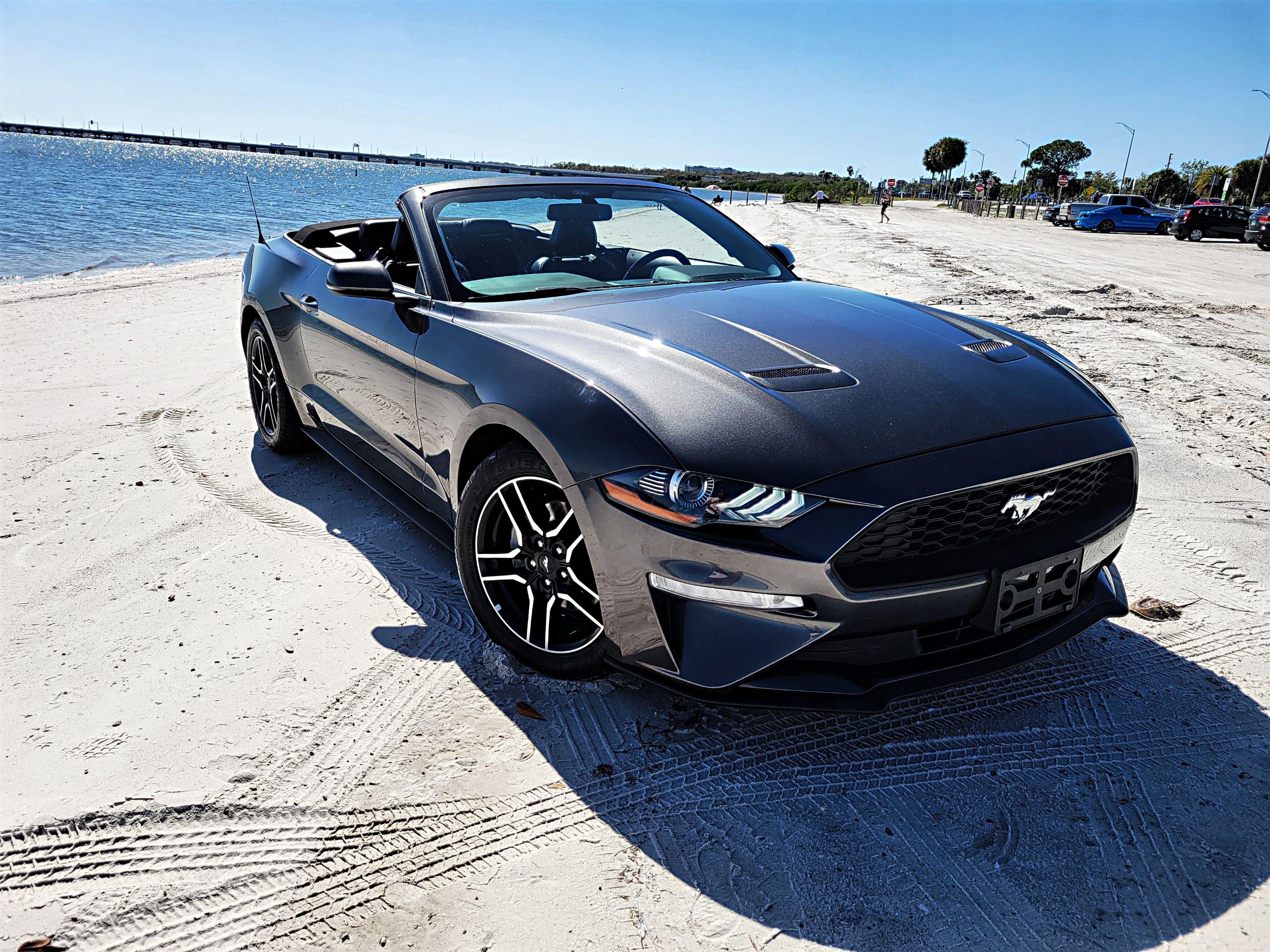 Ford Mustang 2019 in Clearwater, FL