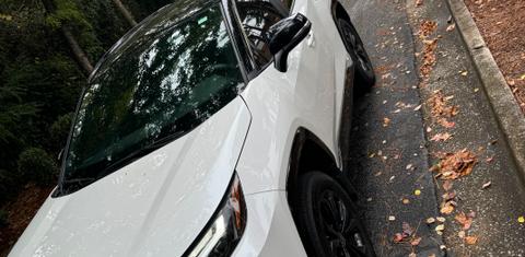 Toyota RAV4 Hybrid 2024