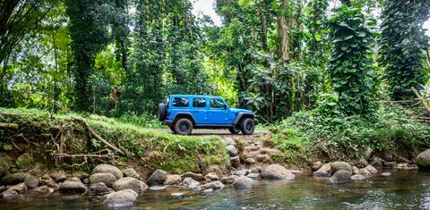 Jeep Wrangler 2024
