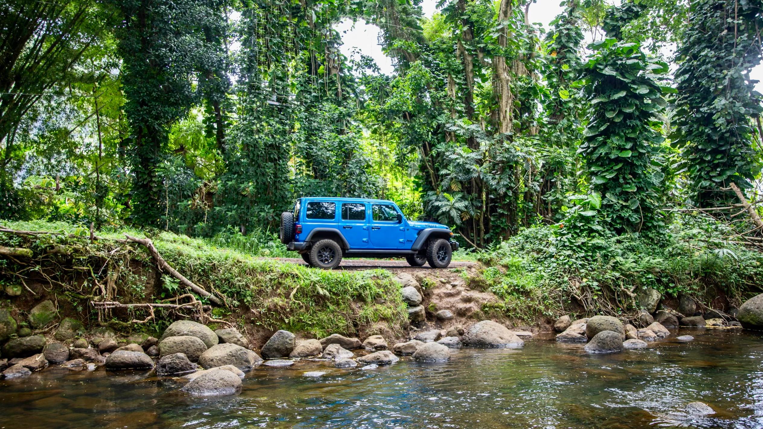 Jeep Wrangler 2024 in 