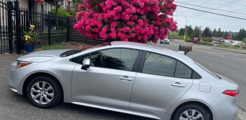 Toyota Corolla 2026