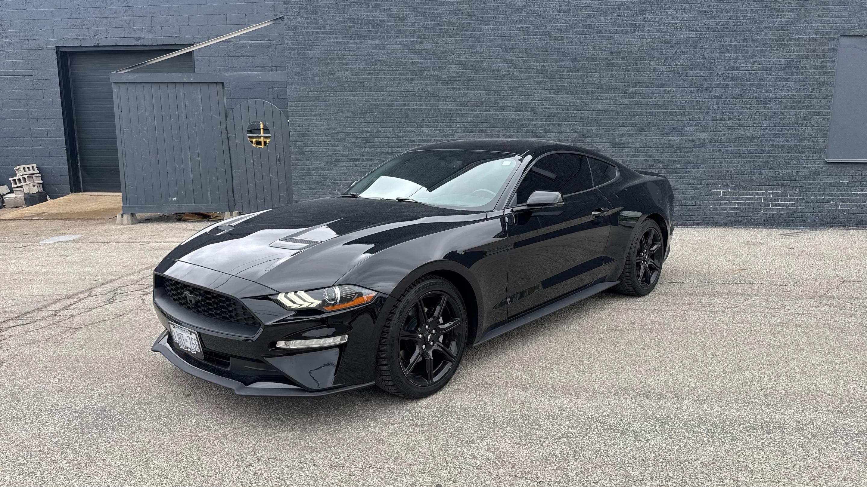 Ford Mustang 2019 à Mississauga, ON
