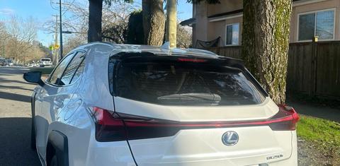 Lexus UX 2020