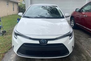 Toyota Corolla car