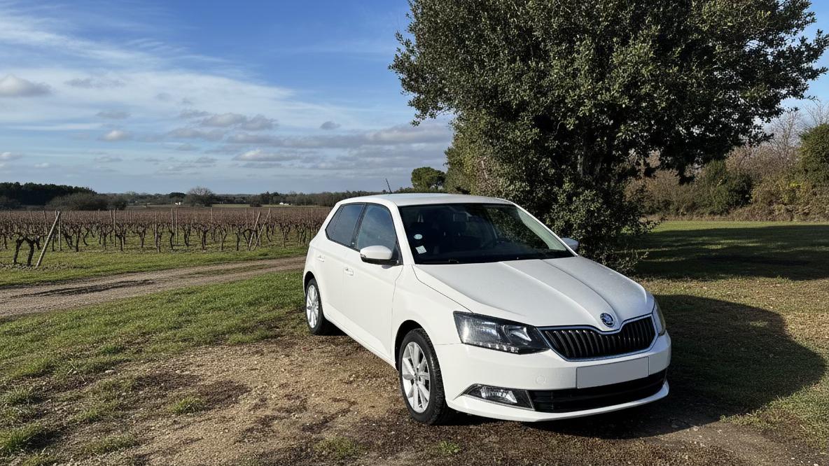 Skoda FABIA 2016 à Nîmes