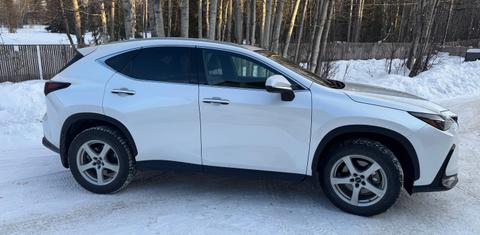 Lexus NX 2024