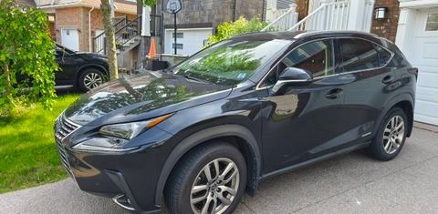 Lexus NX 2020