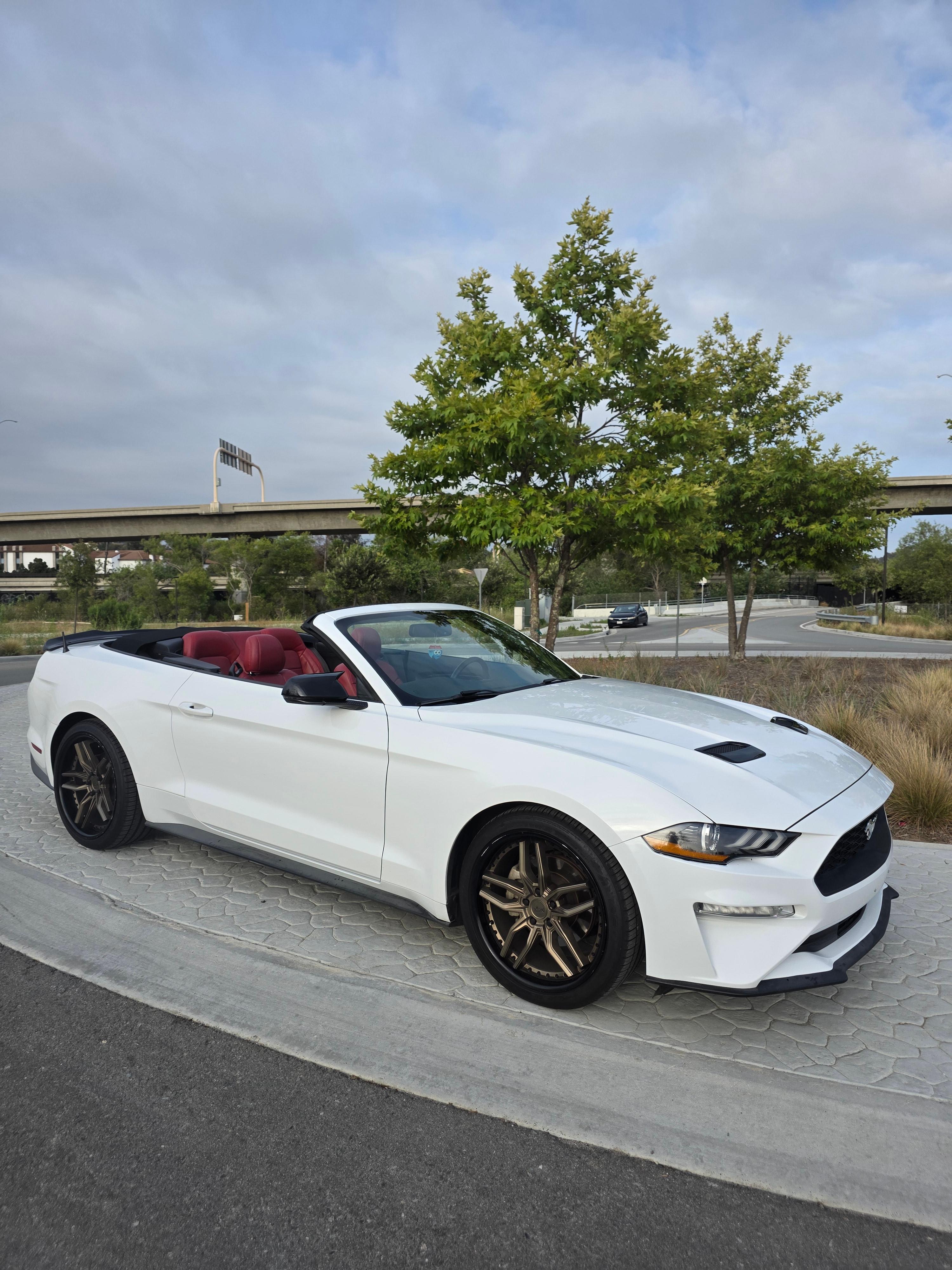 Ford Mustang 2019 in 