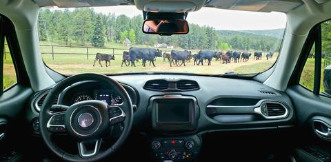 Jeep Renegade 2018