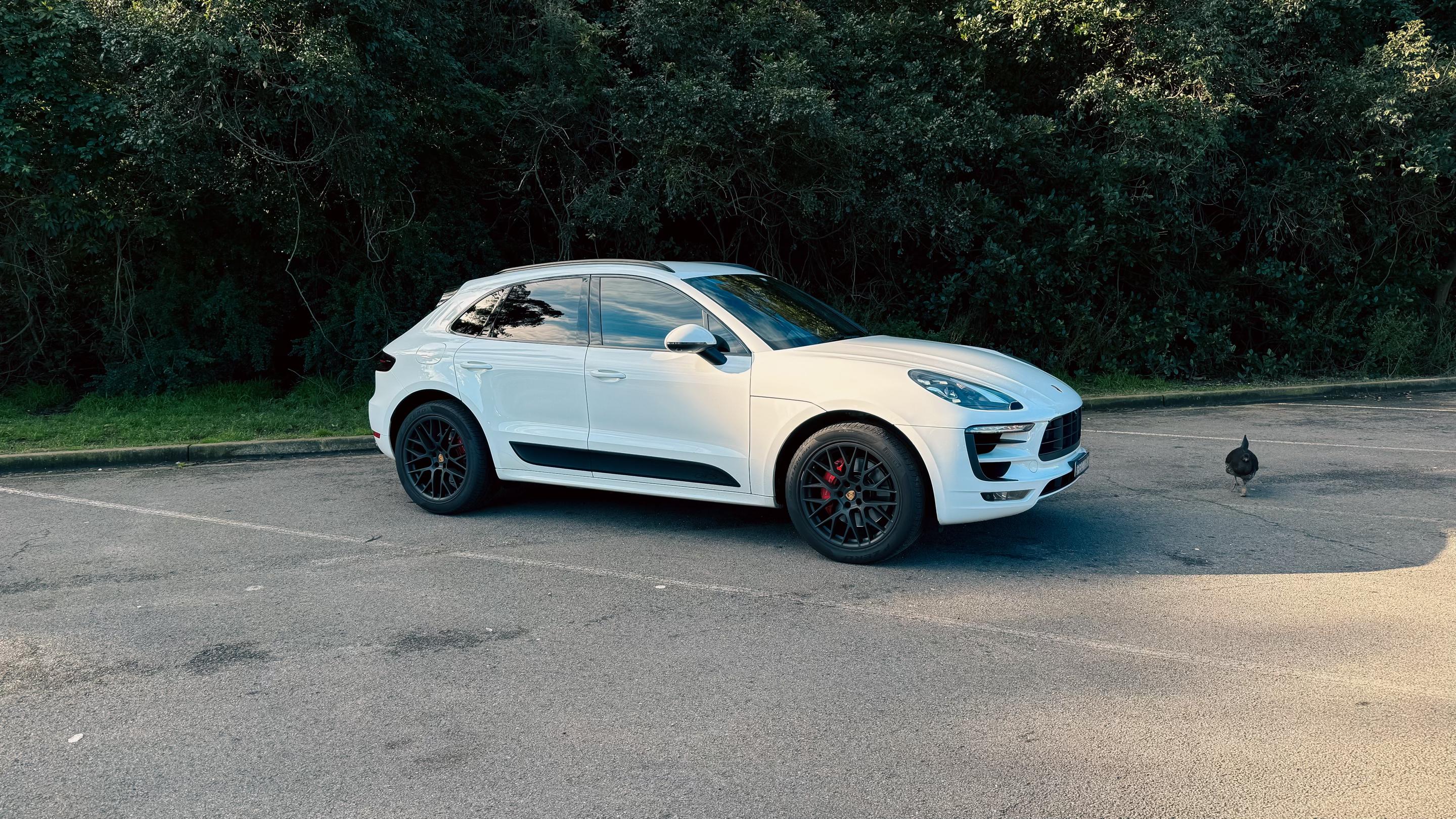 Porsche MACAN 2017 in Rosebery