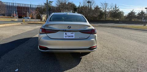 Lexus ES 2019