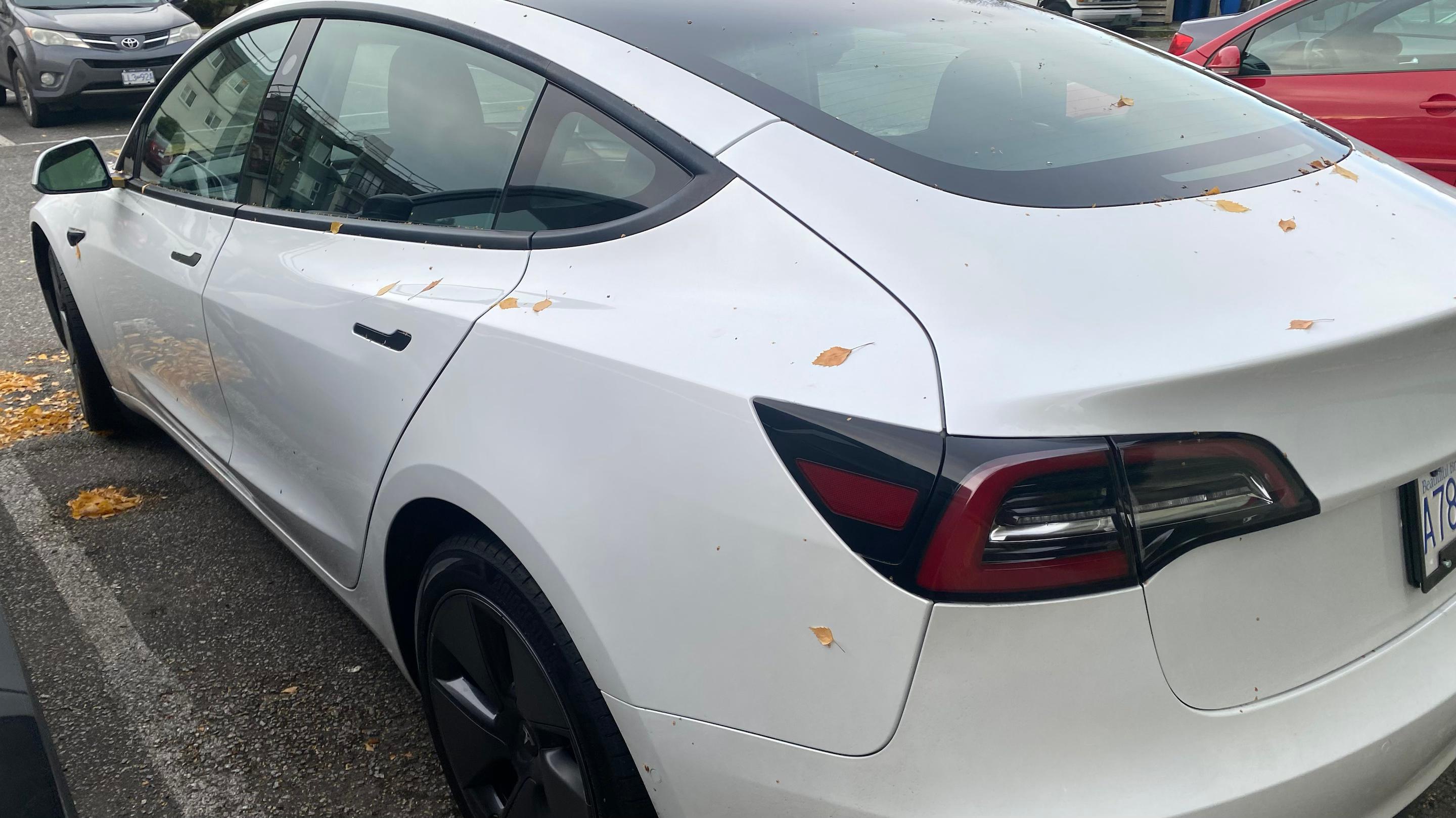 Tesla Model 3 2022 à 