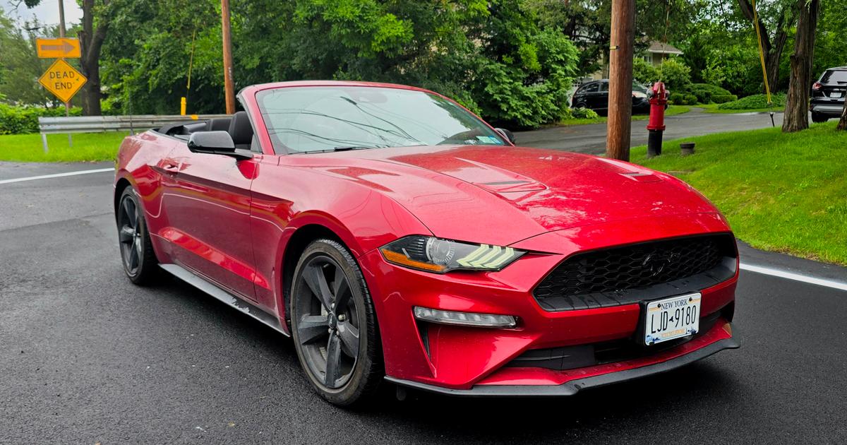 Ford Mustang 2021 rental in New York, NY by Sefa K. Turo