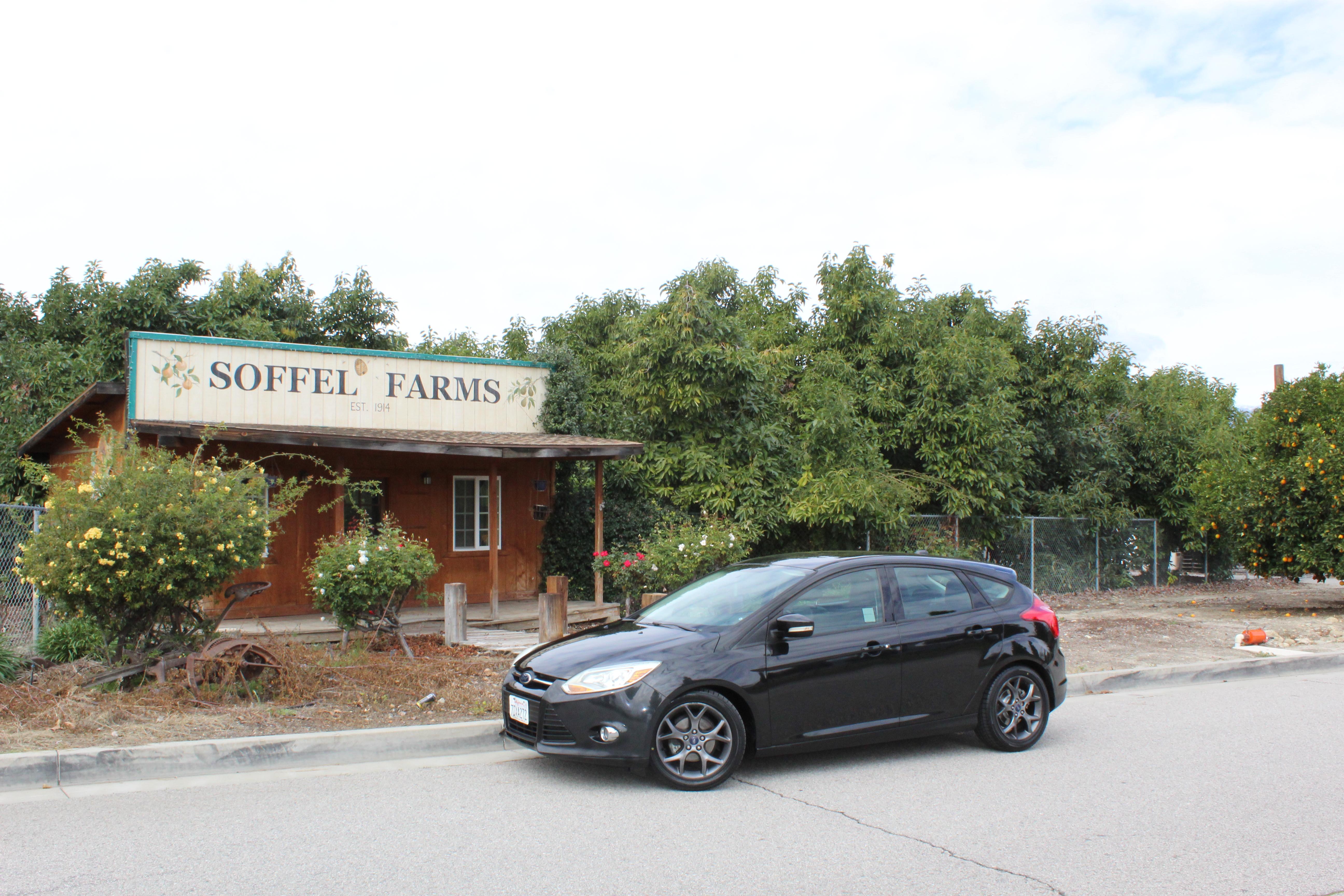 Ford Focus 2014 in 