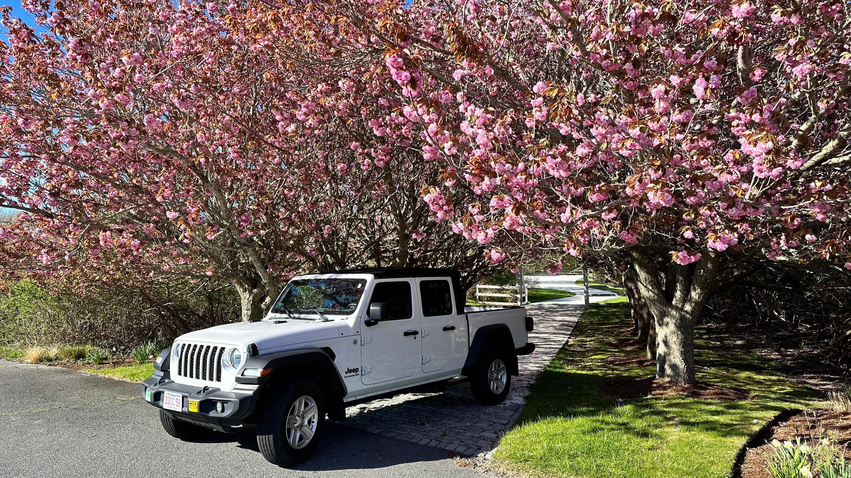 Jeep Gladiator 2020 in 