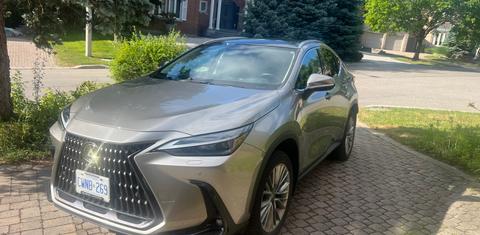 Lexus NX 2022