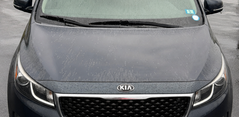 Kia Sedona 2016