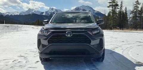Toyota RAV4 2025