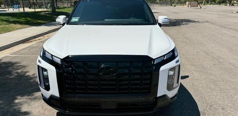 Hyundai Palisade 2025