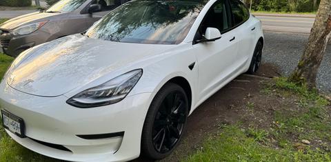 Tesla Model 3 2019