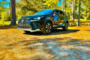 Lexus NX 2019 in East Point