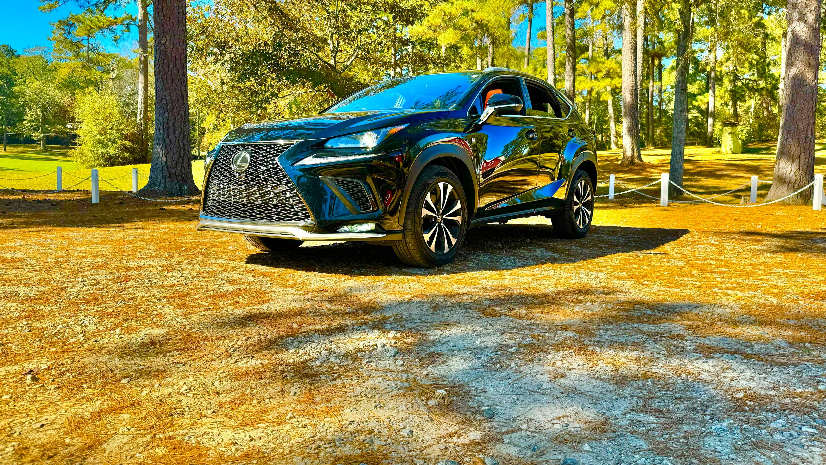 Lexus NX 2019 in East Point, GA